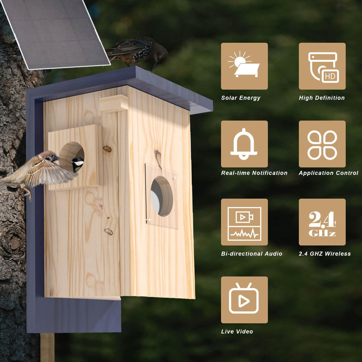 WisdomRainbow Birdhouse Camera 2.4GHz WiFi for real-time streaming.