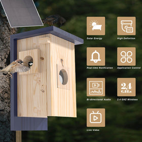 WisdomRainbow Birdhouse Camera 2.4GHz WiFi for real-time streaming.