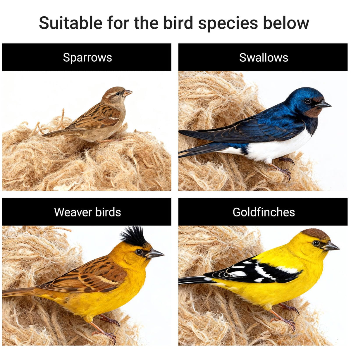 WISDOMRAINBOW gift-ready nesting materials for pets and small animals