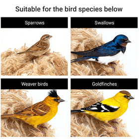 WISDOMRAINBOW gift-ready nesting materials for pets and small animals
