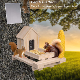 Squirrel dining table with corn cob holder for multiple visitors
