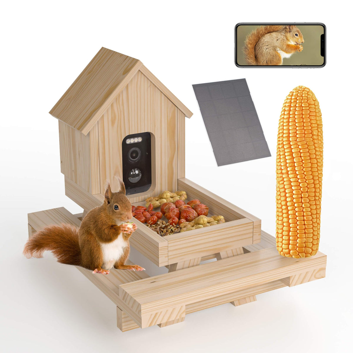 WISDOMRAINBOW squirrel feeder camera view for real time wildlife watching