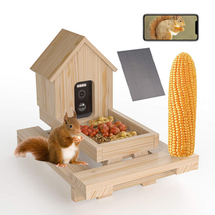 WISDOMRAINBOW squirrel feeder camera view for real time wildlife watching