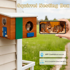 WisdomRainbow Squirrel House 2.4GHz WiFi viewable on your phone.