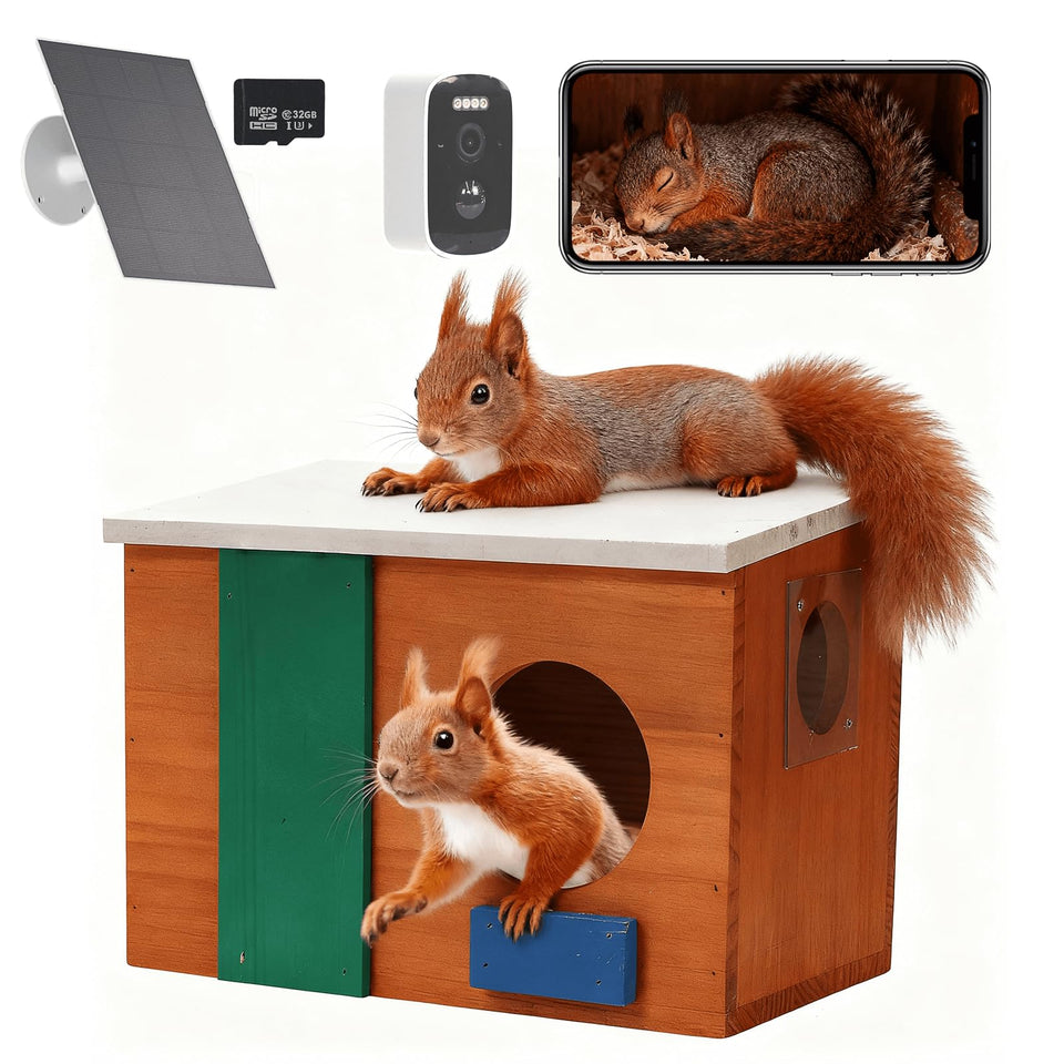 WisdomRainbow Squirrel House with camera, front view, for real-time nesting observation.