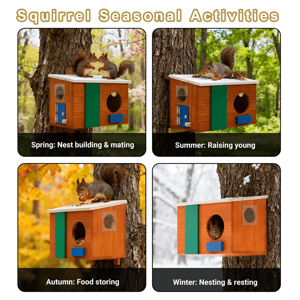 WisdomRainbow Squirrel House motion detection captures quick activity alerts.