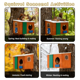 WisdomRainbow Squirrel House motion detection captures quick activity alerts.