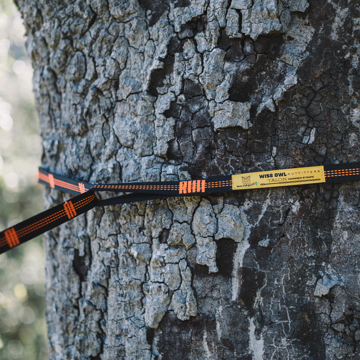Wise Owl Outfitters tree-friendly straps protect bark and fit various trunk sizes.