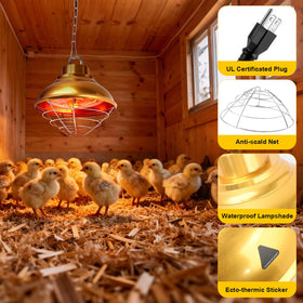 WISMOIER dual power modes switchable at 175W and 350W