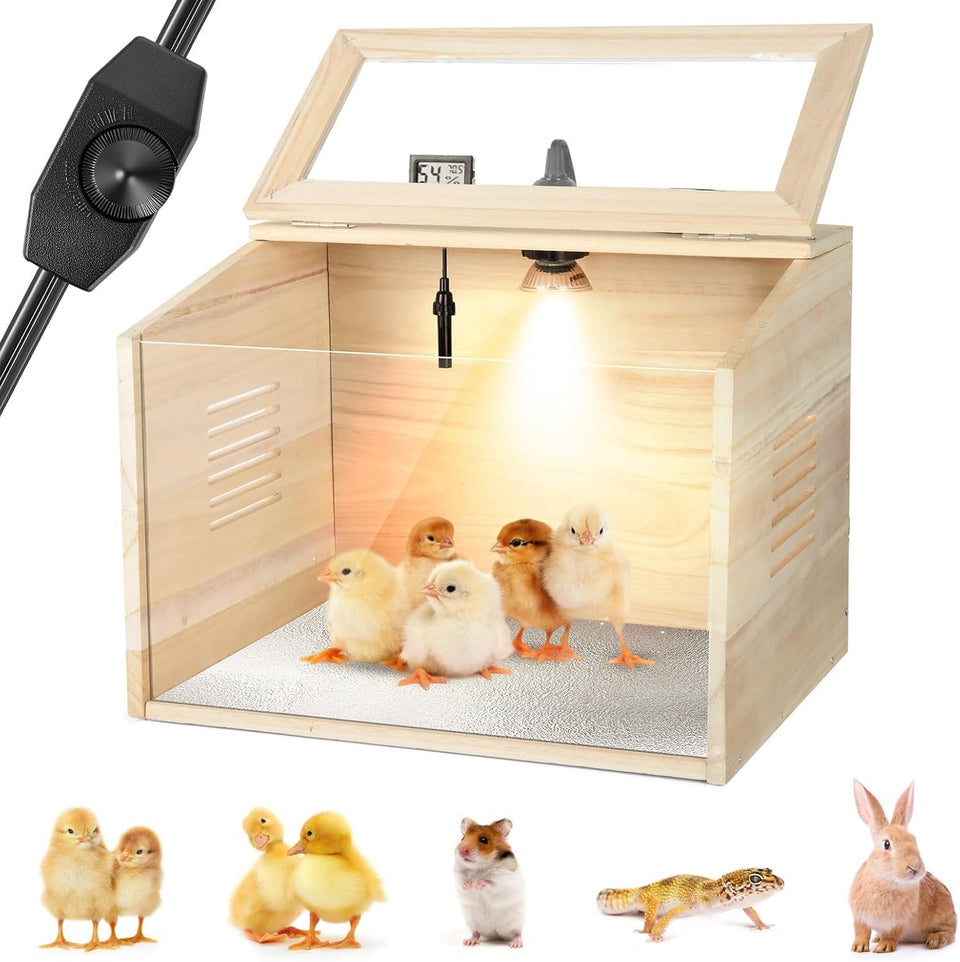 WISMOIER brooder box complete kit shown for easy chick care.