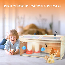 WISMOIER spacious 32x15.75x6.5 inch box houses 10-15 chicks.