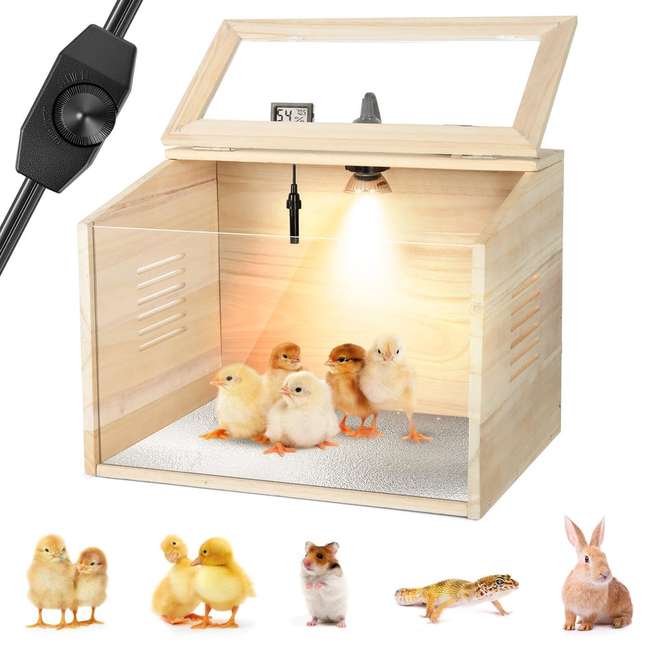 WISMOIER wooden brooder box heat lamp keeps chicks warm and safe.