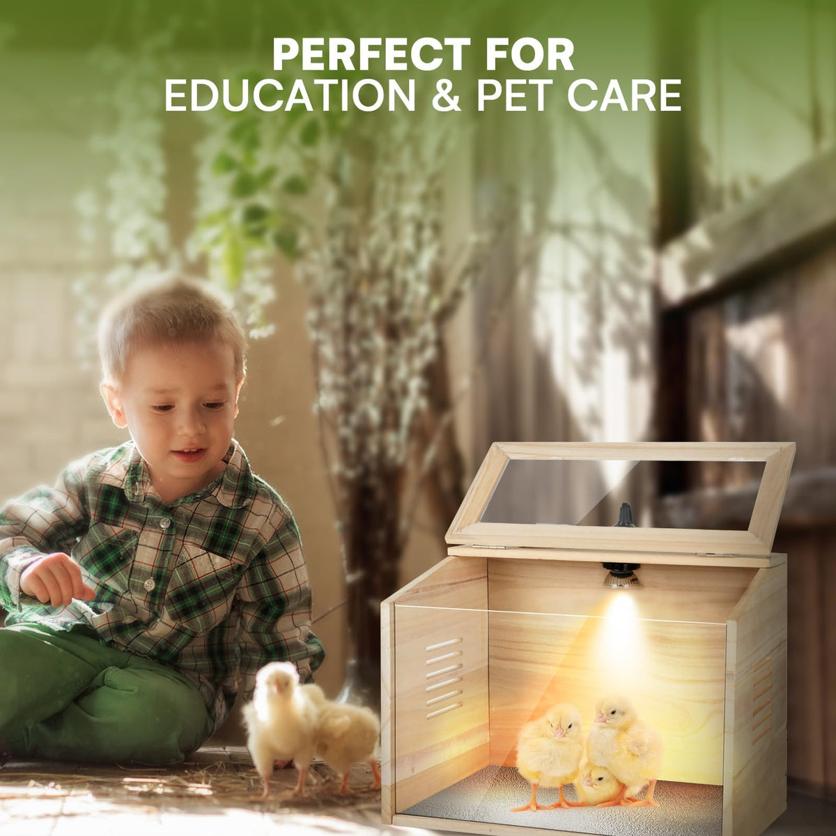 WISMOIER wooden brooder box spacious interior fits 8–10 chicks.