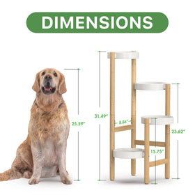 Wisuce bamboo plant stand corner display highlights indoor plant arrangement.