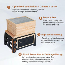 Witbee hive stand elevated design showcases improved airflow and ventilation.