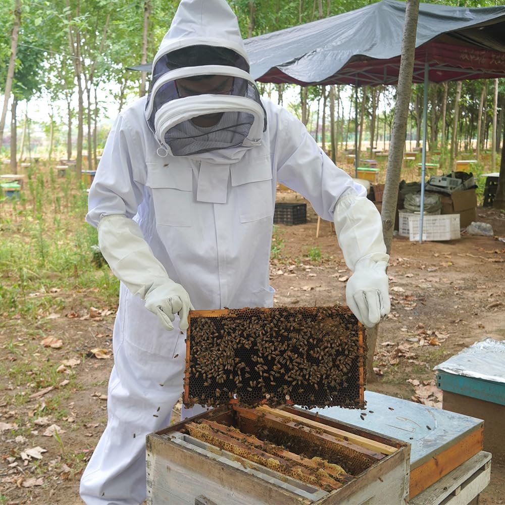 Witbee Langstroth deep-frame sized foundation ready for beekeeping kits.