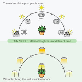 Witsanlex LED grow light 2-pack retractable bracket showing height adjustability.
