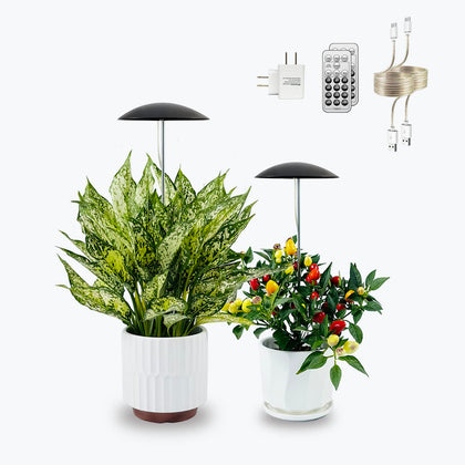 Witsanlex LED grow light 2-pack front view for compact indoor plant growth.