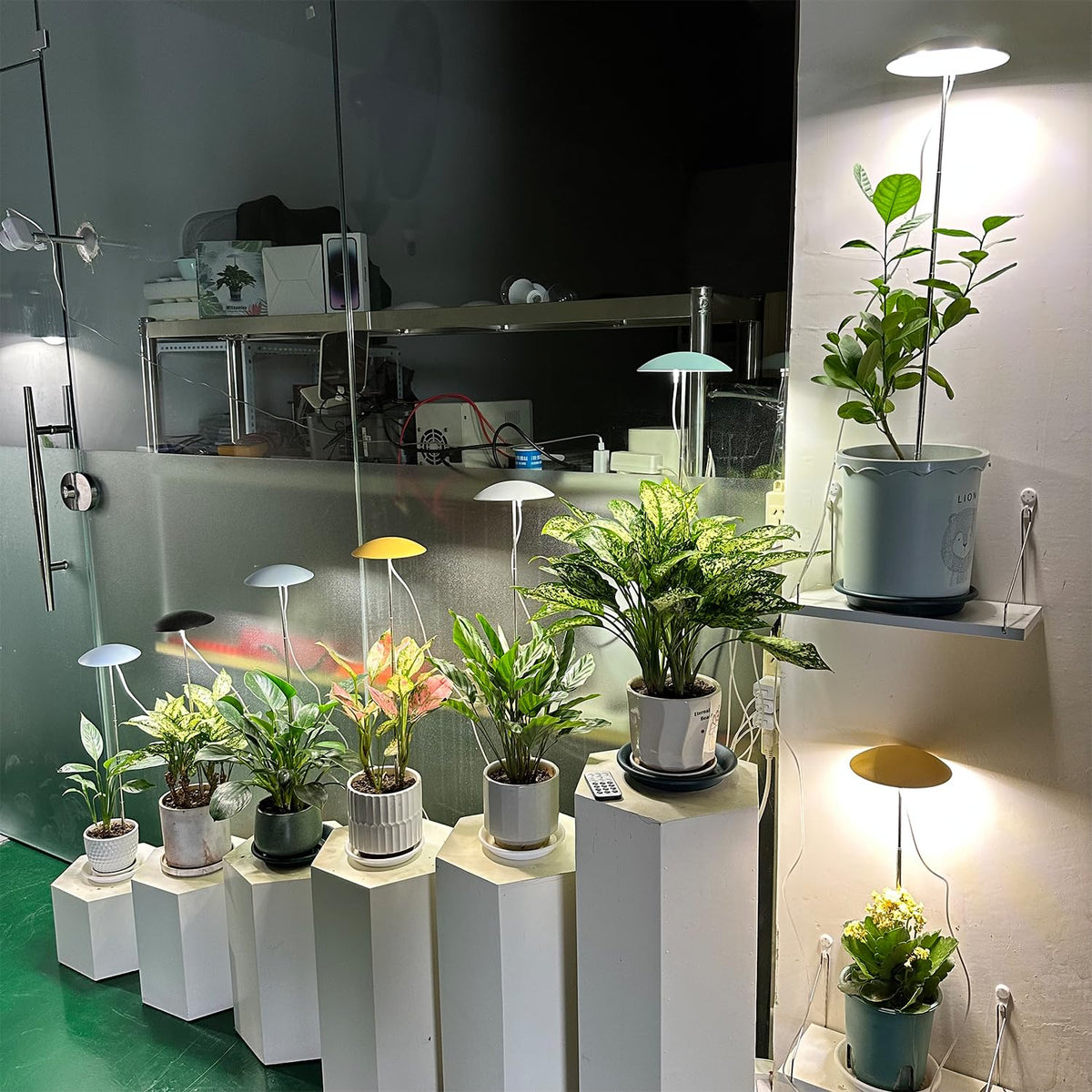 Witsanlex LED grow light 2-pack decorative lamp for stylish home decor.
