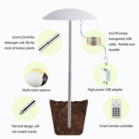 Witsanlex grow lights integrated as stylish home decor around healthy greens.