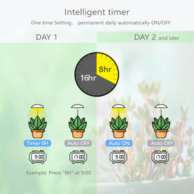 Witsanlex LED grow lights USB-powered for convenient plug-and-play operation.