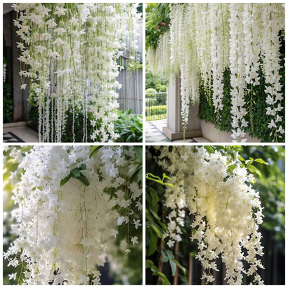 Wivolibe 210+ climbing weeping jasmine seeds ready to train on fences