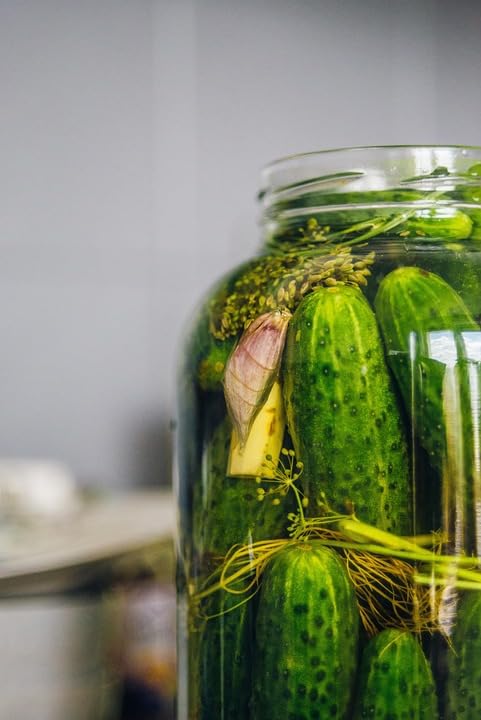 Wivolibe cucumber produce delivers crisp, garden-fresh texture.