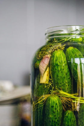 Wivolibe cucumber produce delivers crisp, garden-fresh texture.