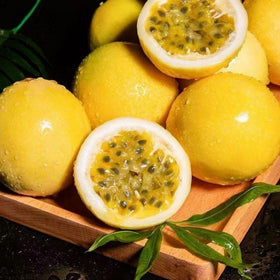 Wivolibe edible passion fruits developing on the vine