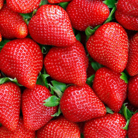 Wivolibe garden setting with strawberries ready for fresh picking.