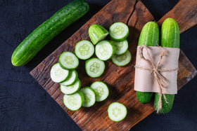 Wivolibe cucumber seeds germinating indoors, quick start to a harvest-ready vine.