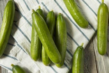 Wivolibe organic Persian cucumber seeds in a seed packet for home gardens, ideal for fresh salads.