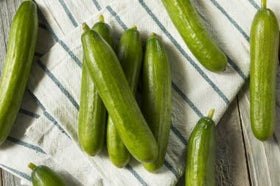 Wivolibe organic Persian cucumber seeds in a seed packet for home gardens, ideal for fresh salads.
