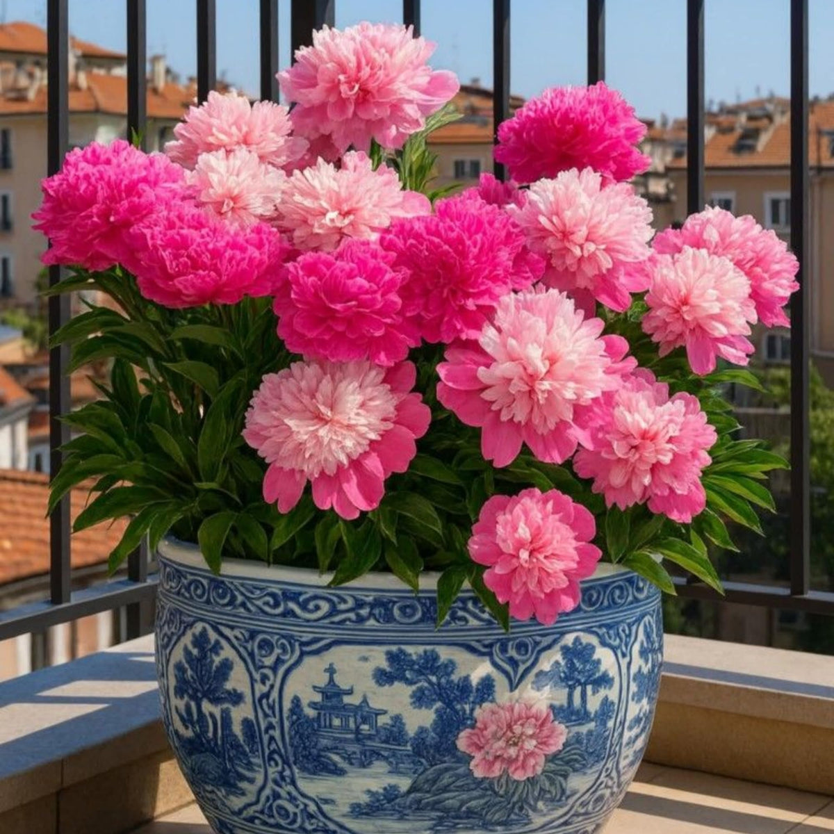 Wivolibe peony seeds cold stratification setup helps germination