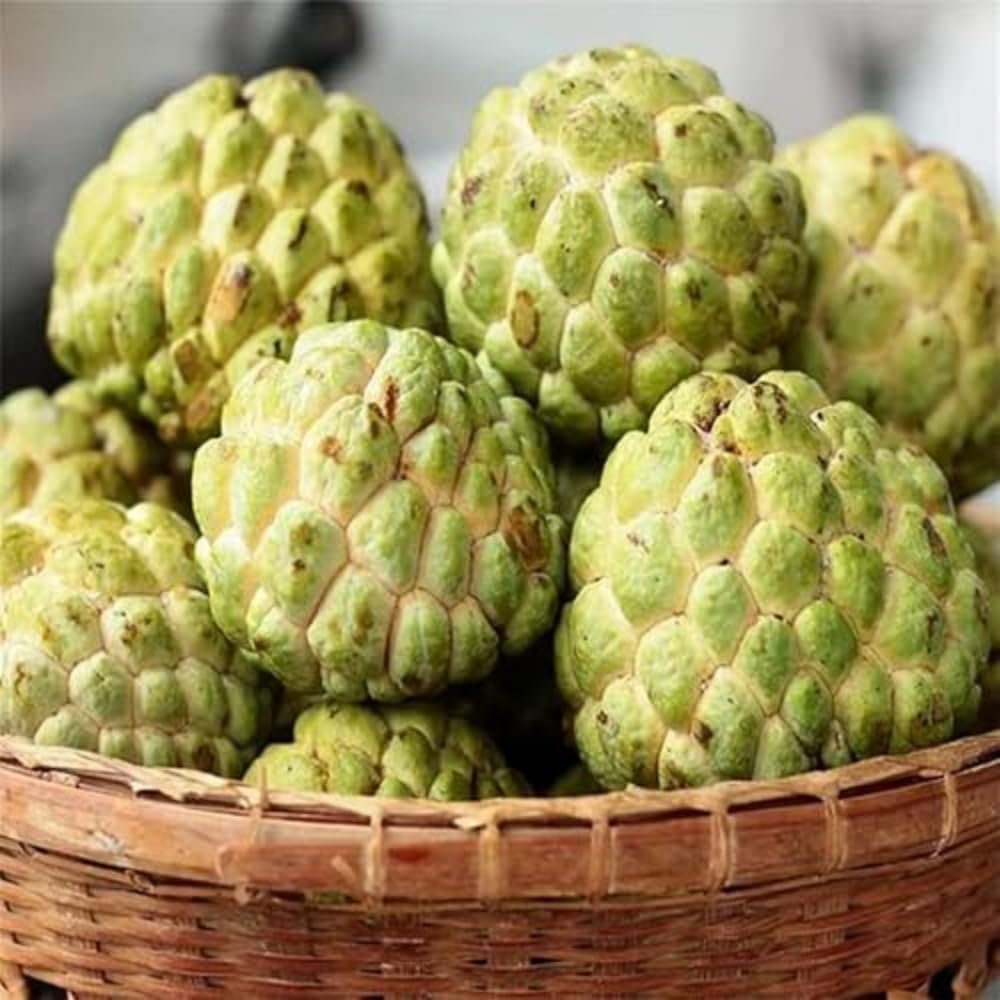 Wivolibe Soursop fruit aroma, tropical scent from ripe fruit in the garden or kitchen.