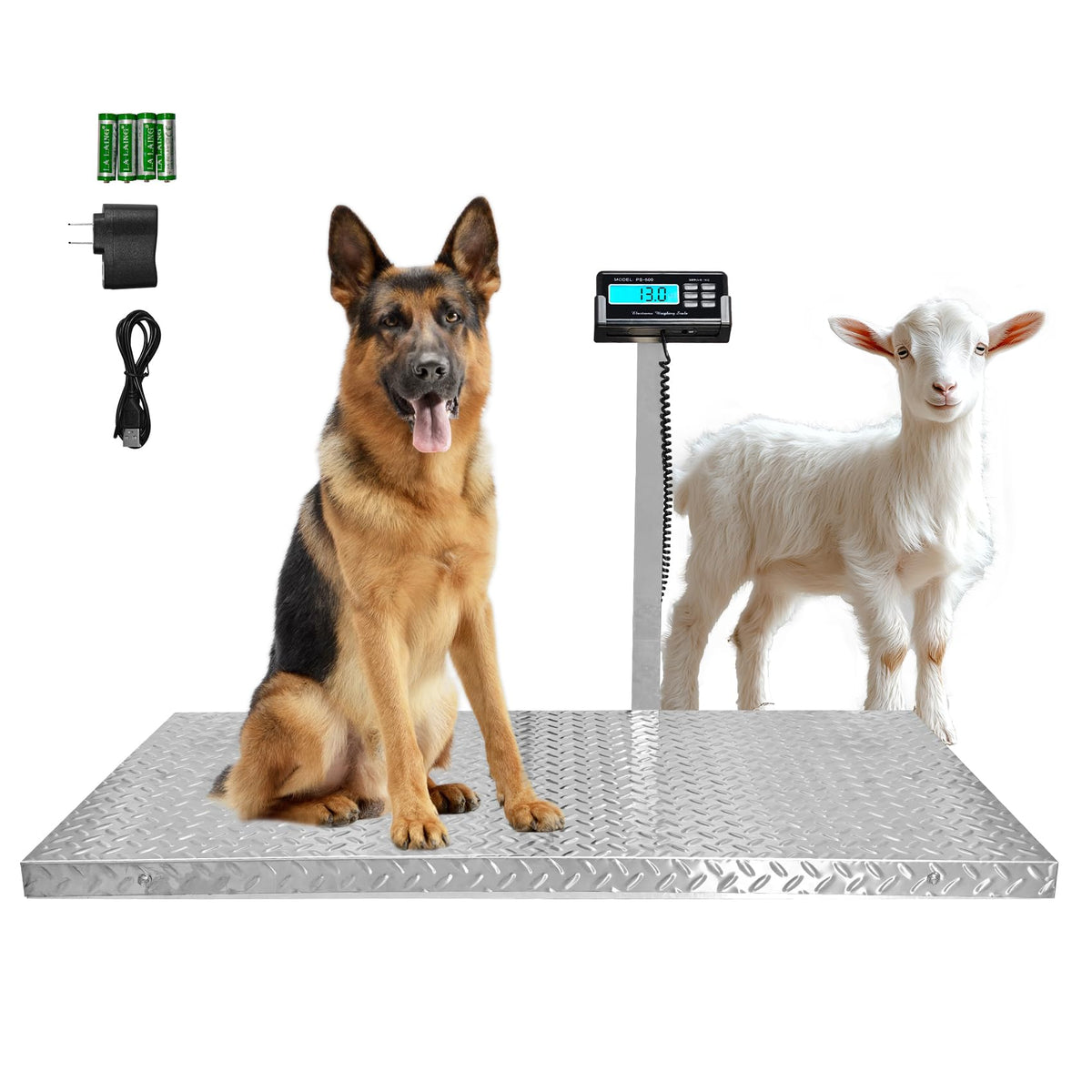 Wixeeua livestock scale on a 40x20 platform offering precise weighing for large animals.