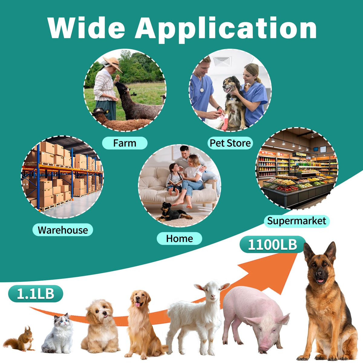 Wixeeua Dog scale designed for veterinarians and farmers for health checks.