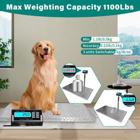 Wixeeua veterinary and farm weighing scale suited for routine checks.