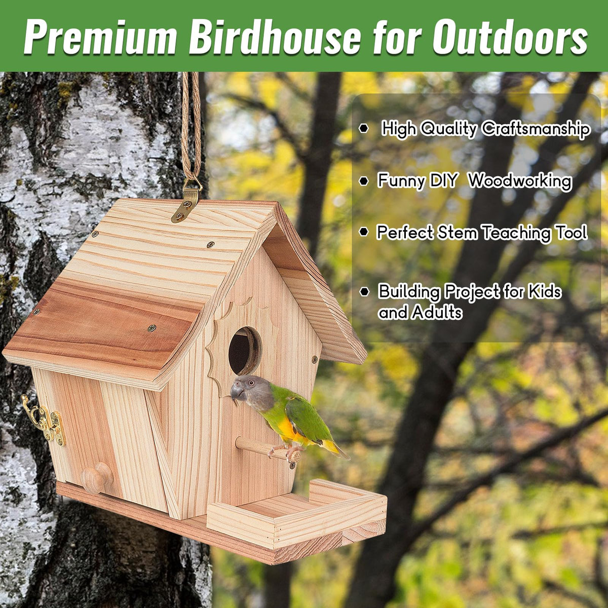 WIZGSZ paint set with 12 colors for creative birdhouse decorating.