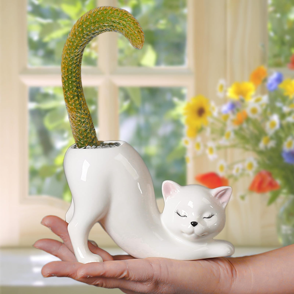 Lightweight ceramic pot suitable for succulents and small plants