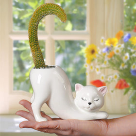 Lightweight ceramic pot suitable for succulents and small plants