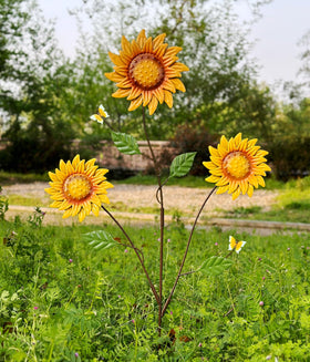 WKHOMEDECO seasonal garden decor transitions through spring to winter.