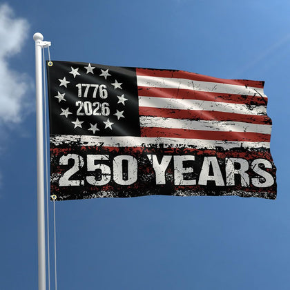Wlayu 250th Anniversary USA Flag 3x5ft hanging outdoors, durable for year-round display.