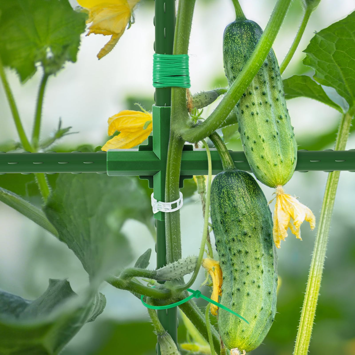 WLLEYAY adjustable-base trellis adapts to different bed sizes for climbing vegetables.