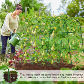 WLLEYAY garden netting kit assists training of climbing vegetables and prevents sagging.