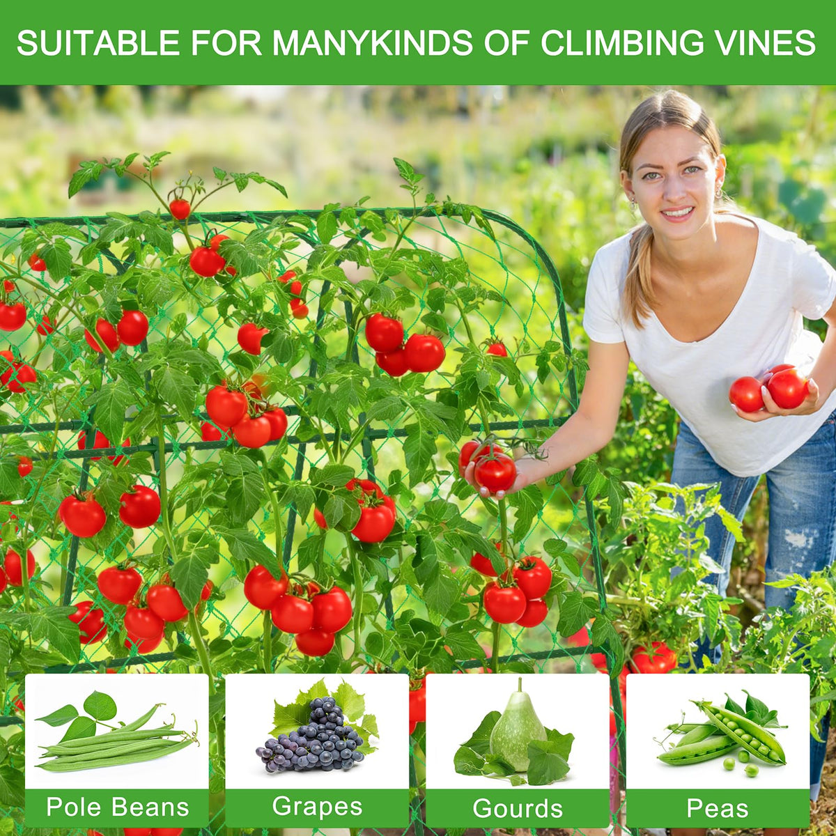 WLLEYAY tall plant-support structure creates generous room for vine growth.