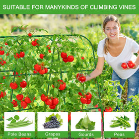 WLLEYAY tall plant-support structure creates generous room for vine growth.