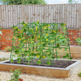 WLLEYAY U-shape garden trellis enables stable installation and easy access for plants.