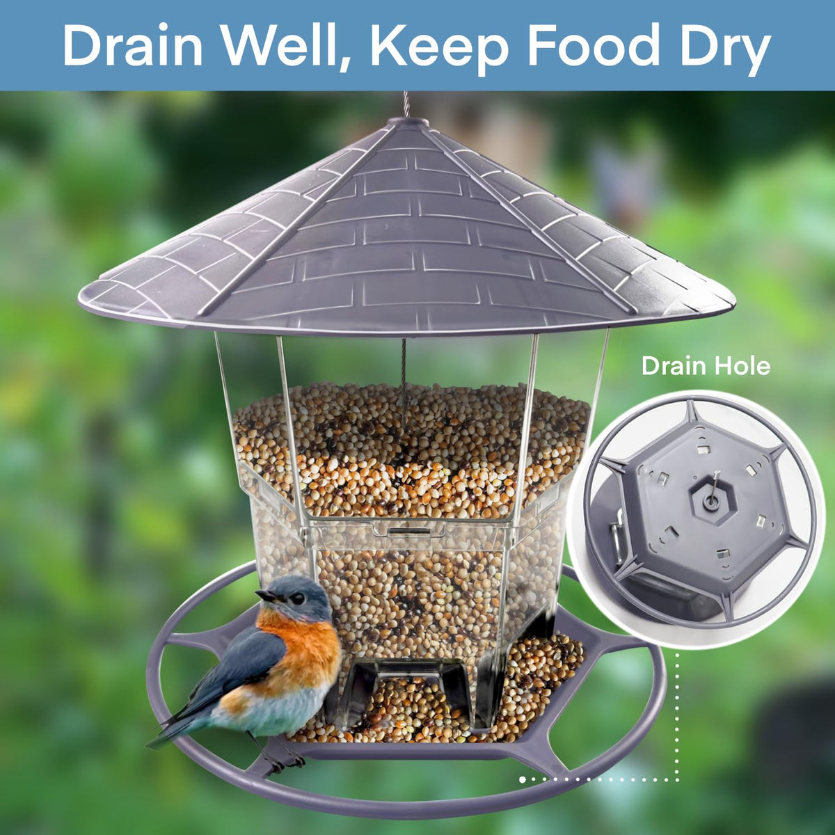 WLLKOO bird feeder with clear plastic body shows seed level.
