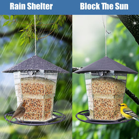 WLLKOO bird feeder shown in a garden setup.